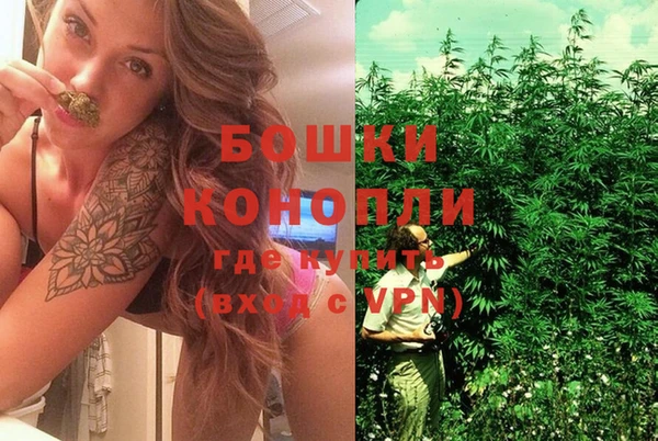 эйфоретик Осташков