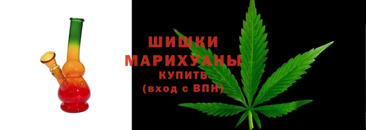 СК Осинники