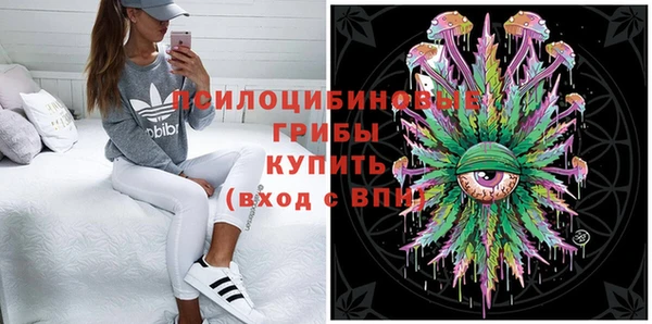 СК Осинники