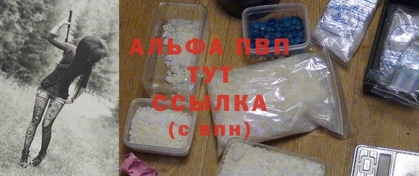 СК Осинники