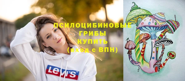 эйфоретик Осташков
