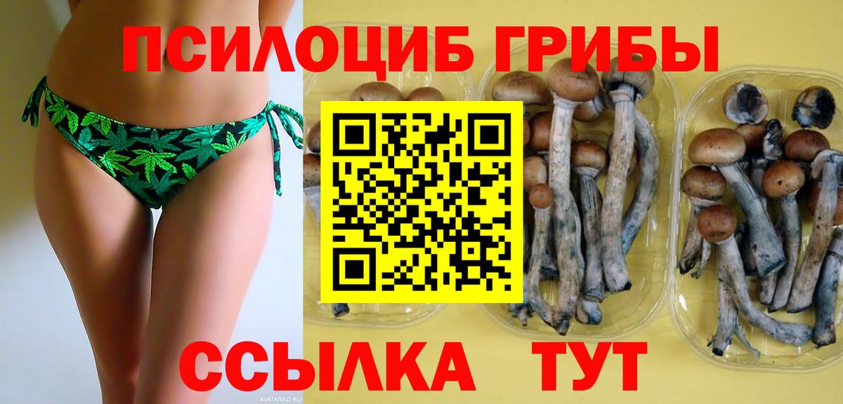 Галлюциногенные грибы Cubensis Тавда