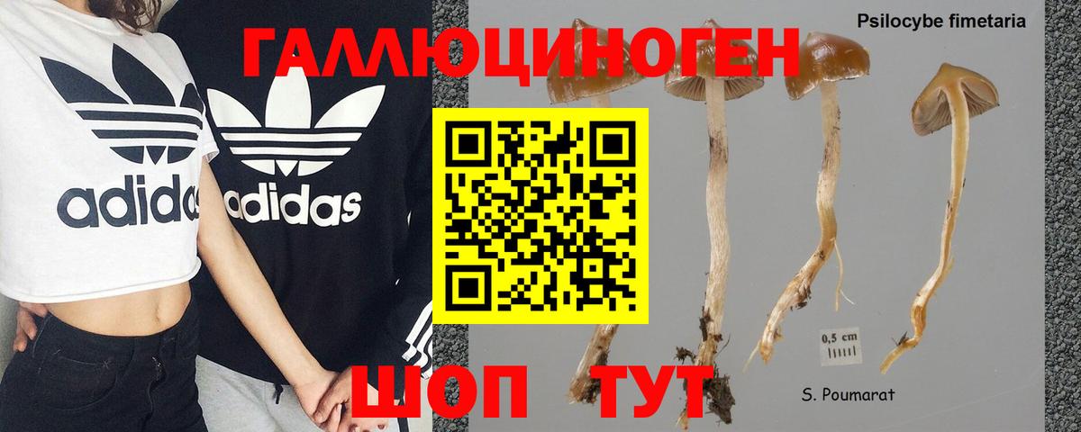 Меф мяу мяу Тавда